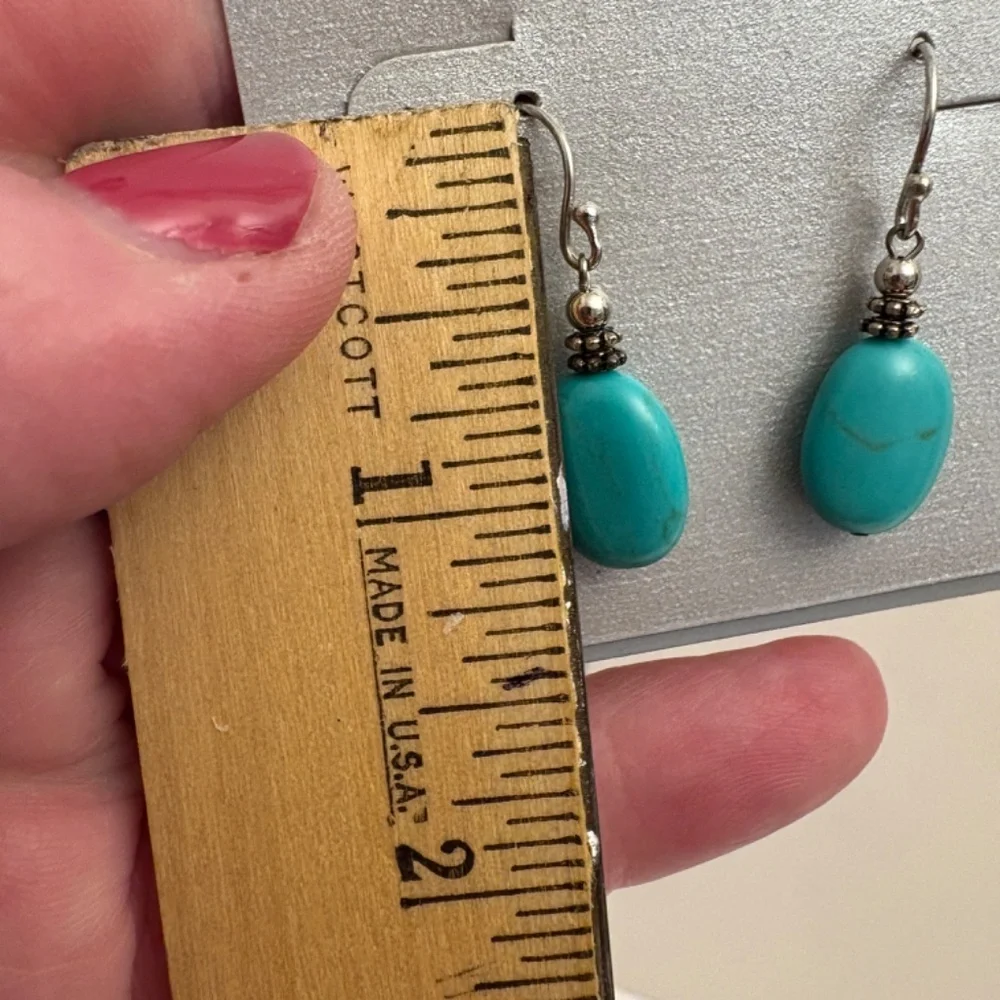Sterling Silver and Turquoise Earrings from Steinmart